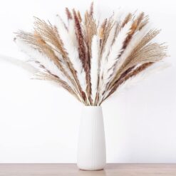 Patio, Lawn & Garden